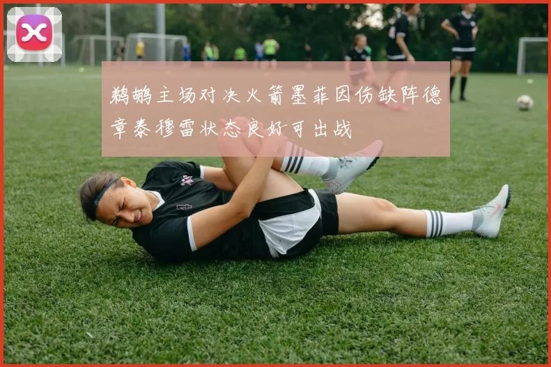 鹈鹕主场对决火箭墨菲因伤缺阵德章泰穆雷状态良好可出战